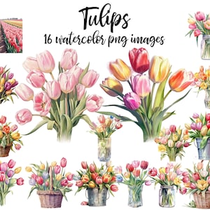 Tulip clipart, Tulip watercolor, Tulip set clipart, Tulip image, Tulip illustration, Tulips nursery, tulip poster Buy 2 Get 1 FREE