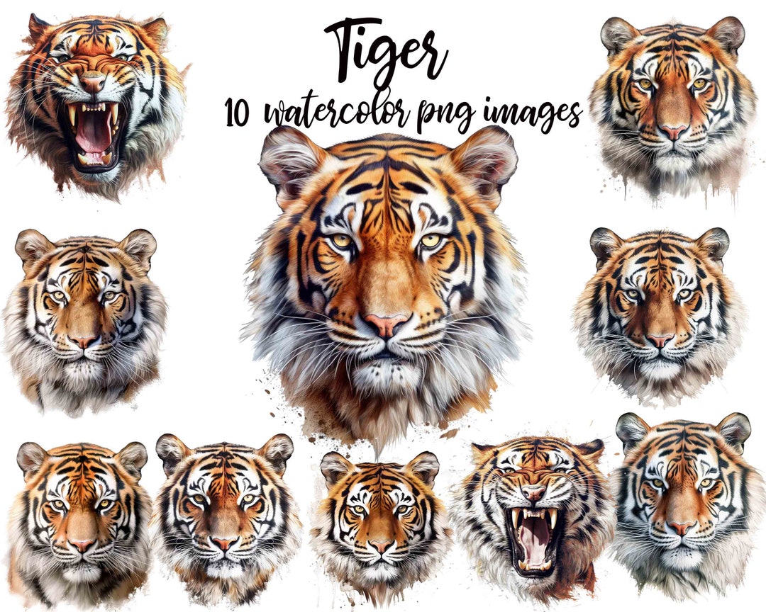 Tiger Clipart, Tiger Watercolor, Tiger Scrapbook, Tiger PNG, Tiger