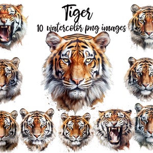 Tiger Clipart, Tiger watercolor, Tiger Scrapbook, Tiger PNG, Tiger illustration, Printable art Buy 2 Get 1 Free