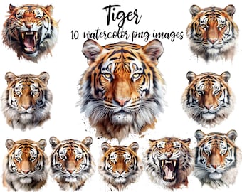 Clipart de tigre en acuarela: 10 ilustraciones PNG (imprimibles)