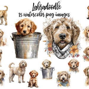 Labradoodle Clipart, Watercolor dog scrapbook, Junk journal dog, Goldendoodle printable Buy 2 Get 1 FREE