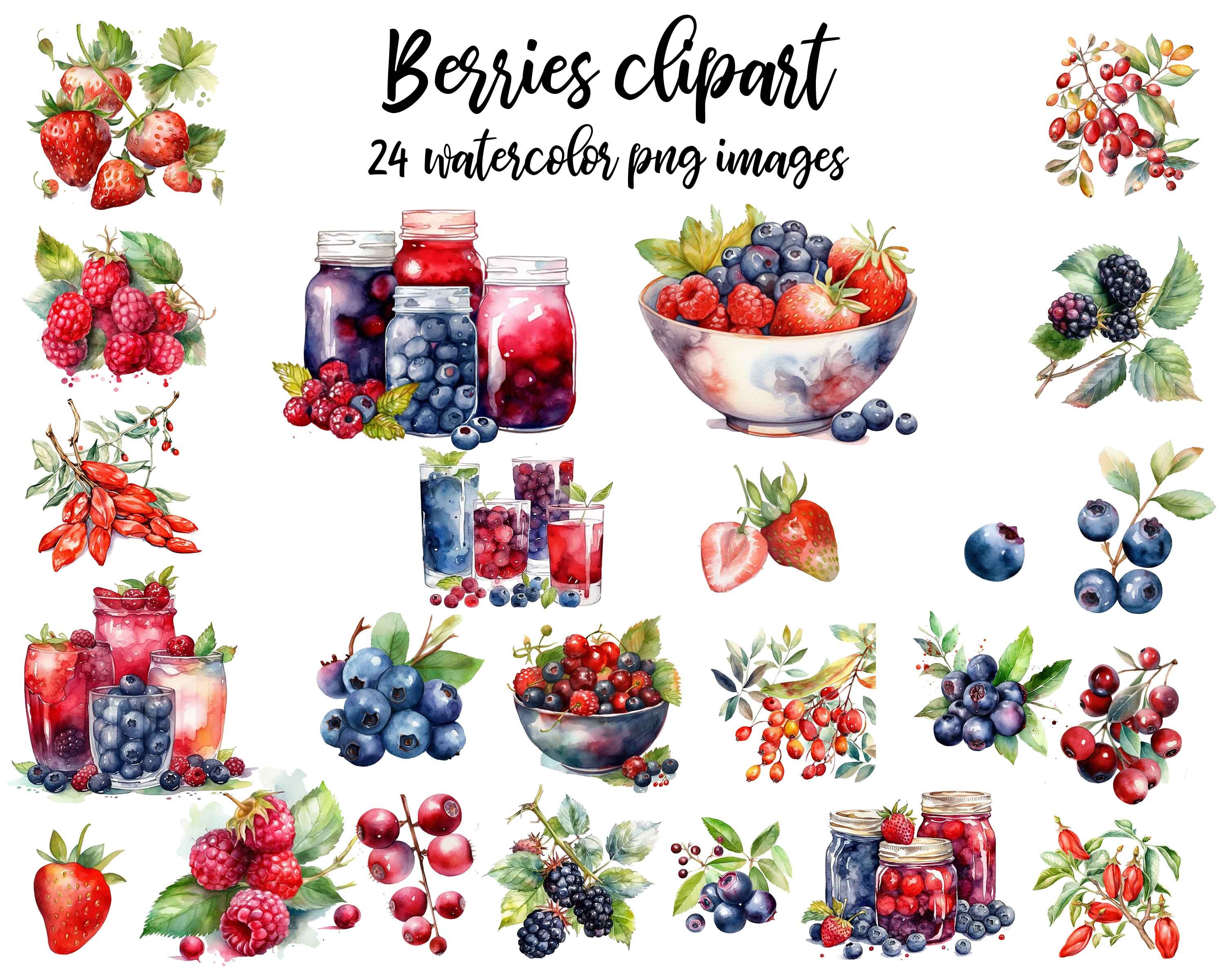 Watercolor Berries Clipart Set: 24 PNG Images (digital Download) - Etsy