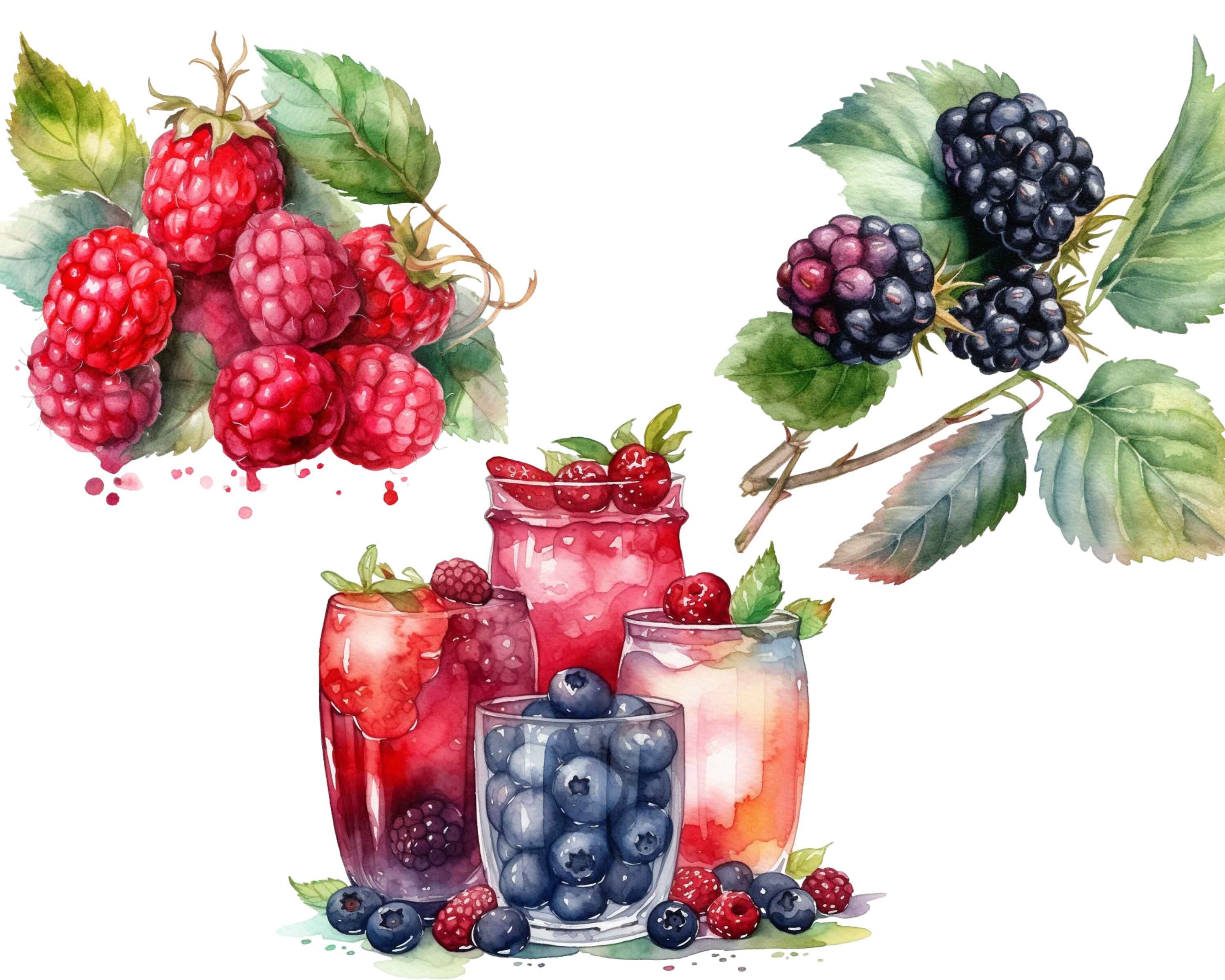 Watercolor Berries Clipart Set: 24 PNG Images (digital Download) - Etsy
