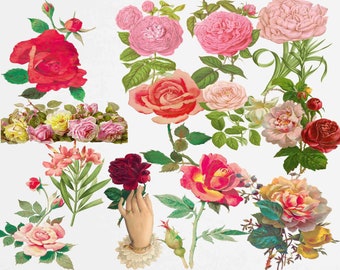 Flower Clipart, Roses Clip Art, Vintage Graphics, Floral clipart Valentine Flowers Antique flower Victorian Rose Pink Roses Buy 2 Get 1 FREE