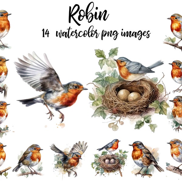 Robin Clipart, Watercolor Robin, Bird Scrapbook, American Robin, robin illustration, Printable robin, Robin poster Buy 2 Get 1 Free