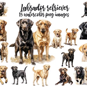 Labrador Retriever, Watercolor clipart, Labrador PNG, Labrador clipart, Junk journal dog, Watercolor labrador Buy 2 Get 1 FREE
