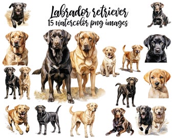 Akwarelowy obrazek labradora retrievera: 15 obrazów psów w formacie PNG (pobieranie cyfrowe)