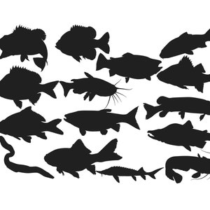 Silhouette de poisson d'eau douce, clipart poisson, Silhouette de poisson, fichier de coupe poisson, silhouette saumon, poisson SVG, image vectorielle Achetez-en 2, obtenez-en 1 gratuit