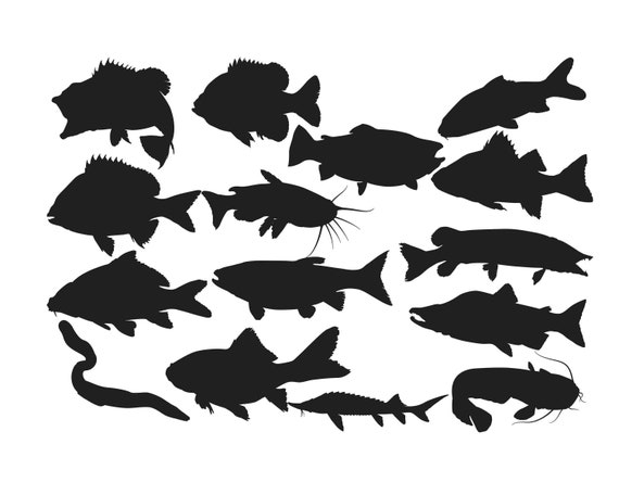Fresh Water Fish Silhouette, Fish Clipart, Fish Silhouette, Fish Cut File,  Salmon Silhouette, Fish SVG, Vector Image Buy 2 Get 1 FREE 