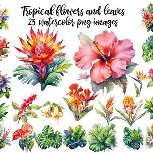 Tropical flowers and leaves, Garden watercolor, Tropical clipart, Flowers image, Flower illustration, Tropical image Buy 2 Get 1 FREE