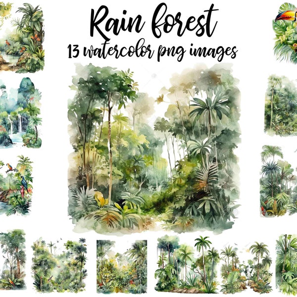 Rain forest clipart, Rain forest watercolor, Rain forest image , Forest illustration, Rain forest poster, Forest nursery Buy 2 Get 1 FREE