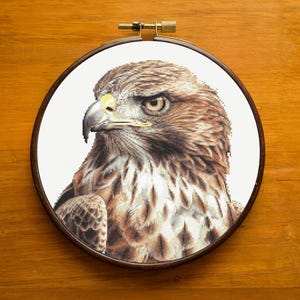 May include: A close-up of a brown and white hawk with a yellow beak and dark eyes. The hawk is looking to the left of the image. The hawk is embroidered on a white canvas.