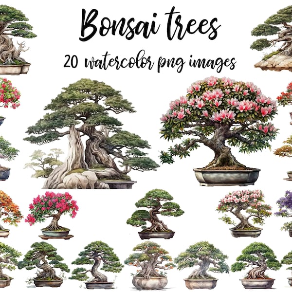 Bonsai clipart, Bonsai watercolor, Bonsai image , Bonsai illustration, Bonsai poster, Bonsai nursery, tree illustration Buy 2 Get 1 FREE