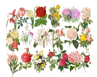 Vintage Rose Clipart: Victorian Floral Graphics (Digital Download)