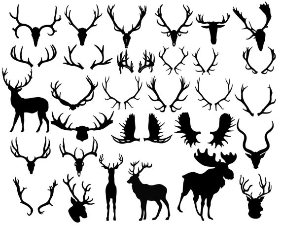 Antler Silhouette Antler Clipart Animal Clip Art Deer Horn Etsy