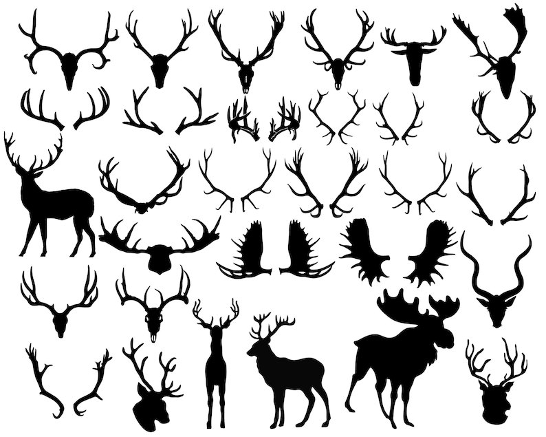 Download Geweih Silhouette Geweih Clipart ClipArt Tier Hirsch Horn ...