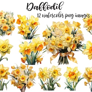 Daffodil clipart, Daffodil watercolor, Daffodil set clipart, Flower clipart, Flower illustration, Daffodil PNG Buy 2 Get 1 FREE