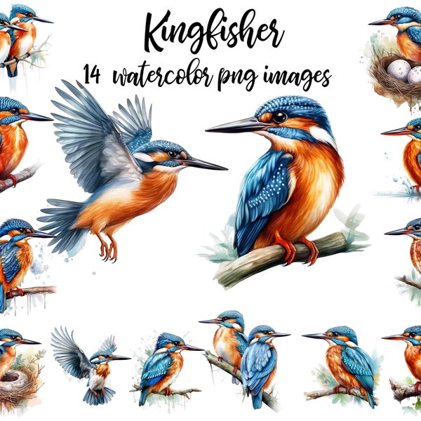 Ijsvogel clipart, aquarel vogel, vogel plakboek, ijsvogel afbeelding, vogel illustratie, ijsvogel poster, afdrukbare kunst Koop 2 krijg 1 gratis