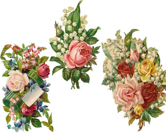 Vintage Valentine Clip Art Flowers Premium Vector | Vintage Valentine