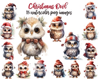 Christmas Clip Art, Christmas owl, Christmas owl PNG, Xmas owl, Watercolor owl, Xmas owl image, printable art Buy 2 get 1 FREE