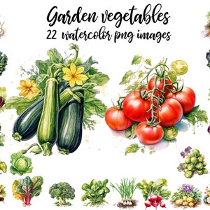Garden Vegetable, Vegetable clipart, Vegetable watercolor, Food illustration, Vegetable image, Vegetable poster Buy 2 Get 1 FREE