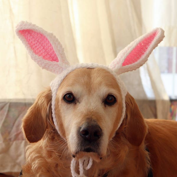 Easter Bunny Ears for Large Dogs, Custom Color Rabbit Ear Headband for Dogs, Dog Easter Bunny Hat with Ear Holes, Easter Pet Photo Prop