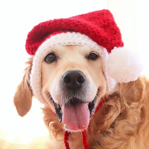 Santa dog hat with ear holes, Santa hat for large dogs Golden, Lab, Pitbull, Husky, Boxer, Christmas dog accessory image 7