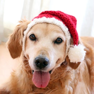 Santa Hat for Dogs, Dog Santa Hat, Holiday Dog Hat, Christmas Hat for Dogs, Large Breed Dog Hat, Christmas Dog Hat, Santa Dog Hat