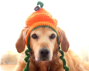 Chapeau de chien de citrouille, chapeau de citrouille pour grands chiens, chapeau de chien d’Halloween / Thanksgiving, accessoire de chien d’automne, accessoire pour animaux de compagnie d’Halloween, chapeau de citrouille de chien