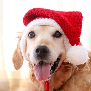 Santa hat for dogs with pom pom, ear holes, and chin straps. Fits most large breed dogs. Medium and extra large sizes available.