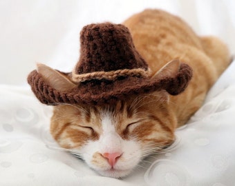 Op de afbeelding: Een slapende oranje tabbykat draagt een bruine gebreide cowboyhoed met een bruin leren band.