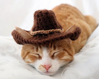 Cowboy Hat for Cats - Bandana Add On Option, Cowboy Halloween Costume for Cats, Small Cowboy hat for Pets, Texas Country Western Cat Hat