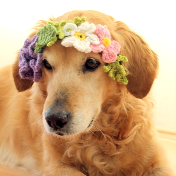 Corona/Collar de flores para perros, accesorio para niña de flores para perros de boda para mascotas, accesorio fotográfico de flores lavable para interiores/exteriores para perros grandes