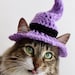 see more listings in the Cats / Small Dogs section