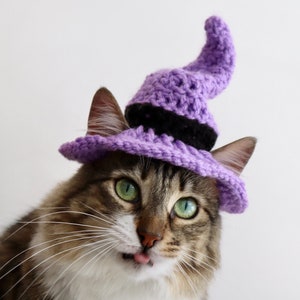 Witch Cat Hat, Witch Hat for Cats, Halloween Cat Costume, Halloween Hat for Cats, Witch Hat for Small Dog, Halloween Pet Hat, Witch Dog Pets