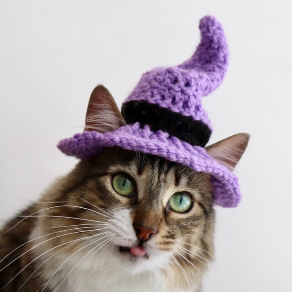 Chapeau chat sorcier, chapeau de sorcière pour chats, déguisement de chat d'Halloween, chapeau d'Halloween pour chats, chapeau de sorcière pour petit chien, chapeau d'Halloween pour animal de compagnie, animaux de compagnie chien sorcier