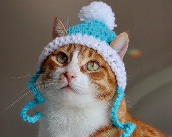 Hat for Cats, 2 Color Crochet Pom Pom Hat for Cats and Small Breed dogs, Feline Accessories for Winter, Cute Cat Photo Prop