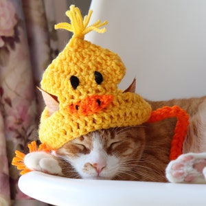 Duck Hat for Cats, Cute Yellow Ducky Cat Hat with Ear Holes, Easy Cat Halloween Costume Ideas, Funny Gift for Cat Lover, Crochet Pet Hats image 2