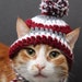 see more listings in the Cats / Small Dogs section