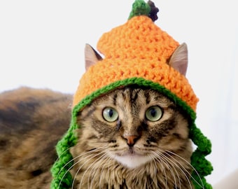 Pumpkin Cat Hat, Thanksgiving Cat Hat, Fall Hat for Cats, Kittens, and Small Dogs, Pumpkin Hat Pet Accessory, Hats for Cats, Fall Pet Hat