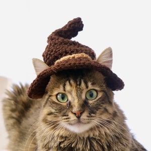 May include: A brown tabby cat wearing a brown crocheted witch hat. The cat is looking directly at the camera with a serious expression.