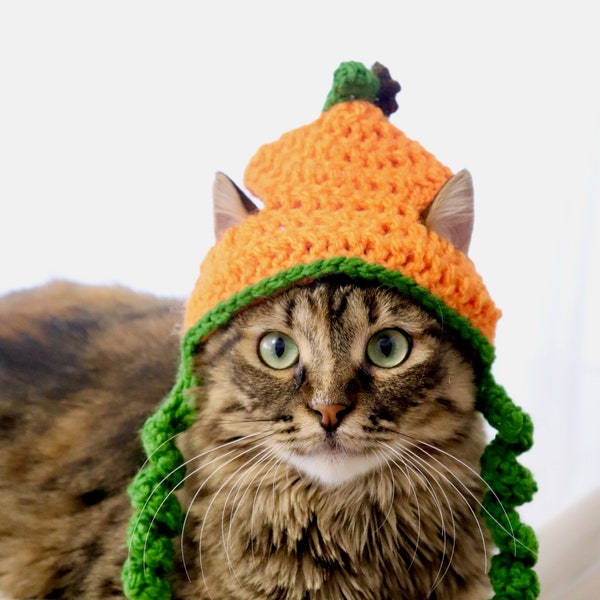 Pumpkin Cat Hat, Thanksgiving Cat Hat, Fall Hat for Cats, Kittens, and Small Dogs, Pumpkin Hat Pet Accessory, Hats for Cats, Fall Pet Hat