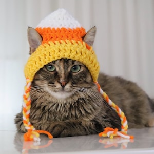 Candy Corn Cat Hat, Halloween Hat for Cats, Kittens, and Small Dogs, Funny Fall Trick or Treat Pet Accessory, Cat Costume / Photo Prop Ideas