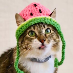 Watermelon Hat for Cats, Crochet Watermelon Hat for Cats and Small Dog Breeds, Funny Fruit Cat / Kitten Photo Prop Accessory