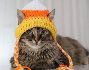 May include: A brown tabby cat wearing a crocheted candy corn hat with orange, yellow, and white stripes. The hat has long ties that hang down the cat's back.