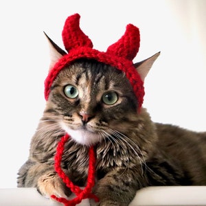 May include: A tabby cat wearing a red crocheted devil costume with horns. The cat is looking directly at the camera with a serious expression.