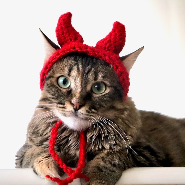 Chapeau de chat du diable, Costume d’animal de compagnie du diable, Cornes du diable pour chats, Costume du diable pour petits chiens, Costume de chat d’Halloween, Costume d’animal de compagnie drôle