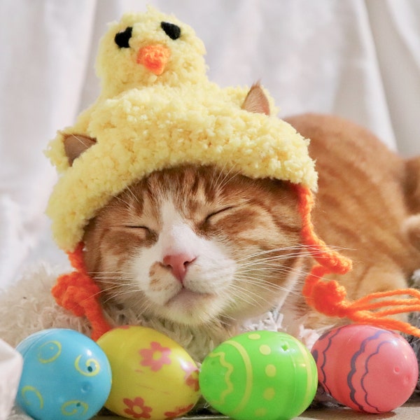 Chapeau de Pâques pour chats, chapeau de chat de poussin de Pâques, chapeau de poussin de Pâques drôle pour chats, costume de chat de Pâques, accessoire de chat de Pâques, chapeau drôle pour chats