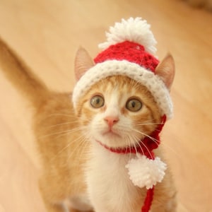 Santa Hat for Cats, Cat Santa Hat, Holiday Cat Hat, Christmas Hat for Cats and Kittens, Christmas Cat Hat, Santa Cat Hat image 6