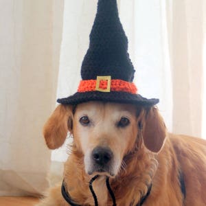 Witch Hat for Dogs, Dog Witch Hat, Halloween Hat for Dogs, Large Breed Dog Costume, Halloween Dog Hat, Witch Dog Hat image 3